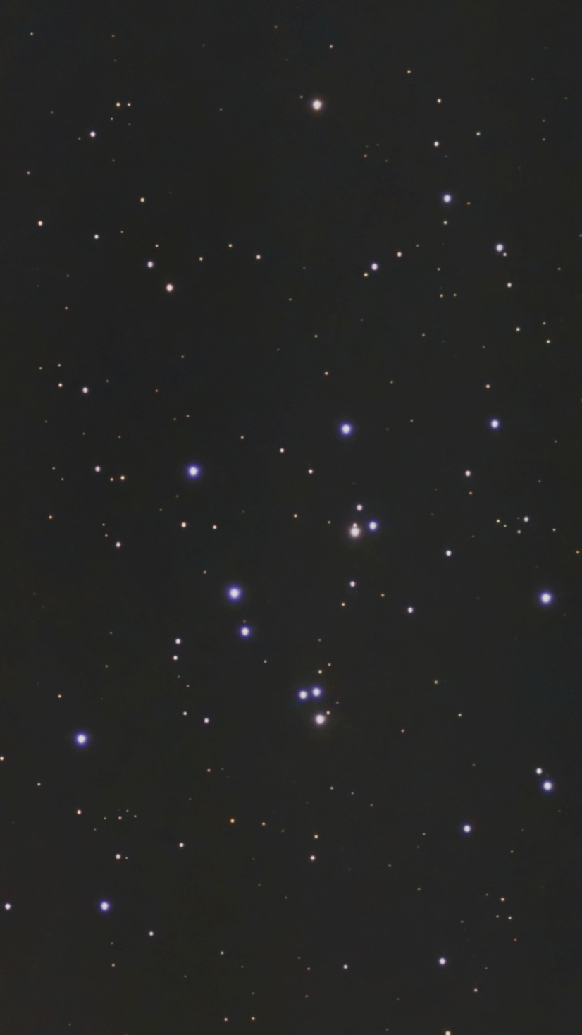 M44 산개성단